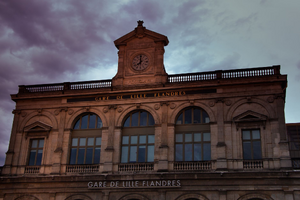 Diagnostiqueur immobilier Lille